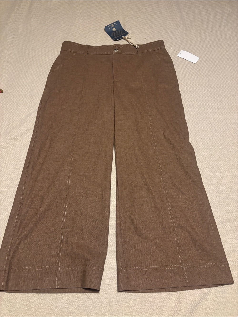 Democracy Wide-Leg Pants in Brown